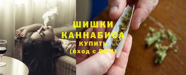 твердый Мегион