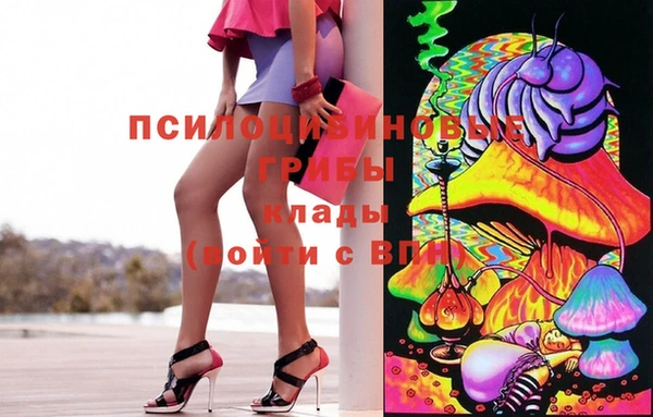 крисы Алзамай