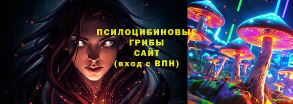 молекула духа Медвежьегорск