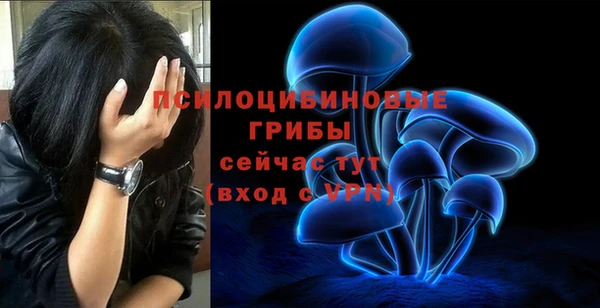 крисы Алзамай