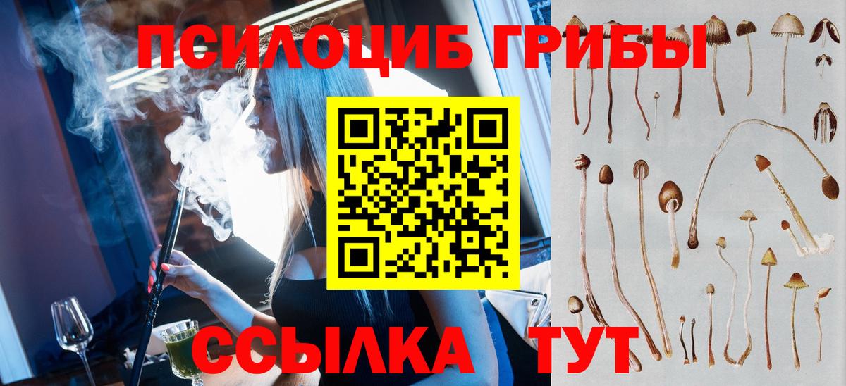 Асино  Псилоцибиновые грибы Cubensis  Вход с VPN  Псилоцибиновые грибы прущие грибы 